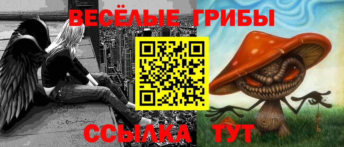 купить наркотик  Вход с VPN  Чита  Псилоцибиновые грибы Cubensis 