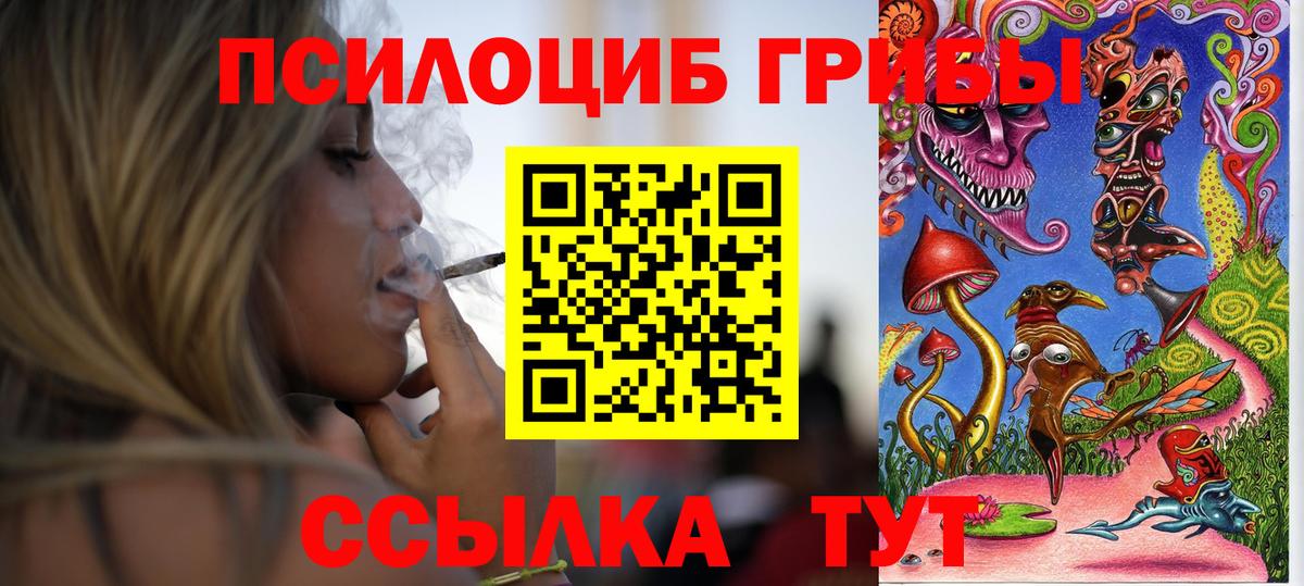 Псилоцибиновые грибы Magic Shrooms Чита